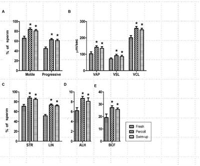 Production of transgenic first filial puppies expressing mutated human amyloid precursor protein gene